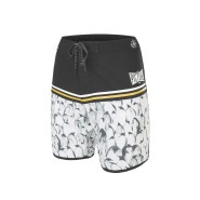 Picture Andy 17 Boardshorts Pinguins