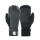 ION Arctic Gloves 900 black